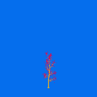 greenshift tree