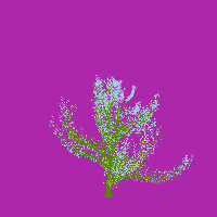 greenshift tree