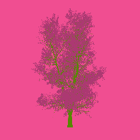 greenshift tree