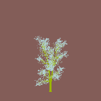 greenshift tree