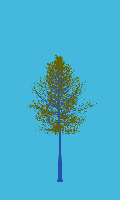 greenshift tree