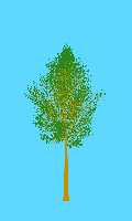 greenshift tree