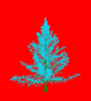 greenshift tree