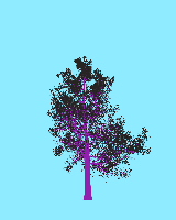 greenshift tree