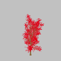 greenshift tree