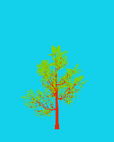 greenshift tree