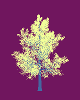 greenshift tree