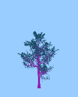 greenshift tree