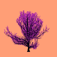 greenshift tree