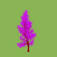 greenshift tree