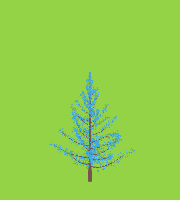 greenshift tree