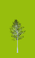 greenshift tree