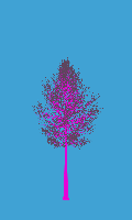 greenshift tree