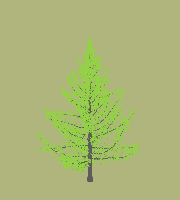 greenshift tree