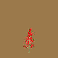 greenshift tree
