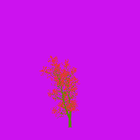 greenshift tree