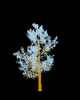 greenshift tree