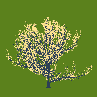 greenshift tree