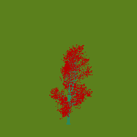 greenshift tree