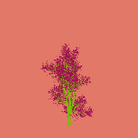 greenshift tree