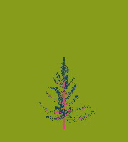 greenshift tree