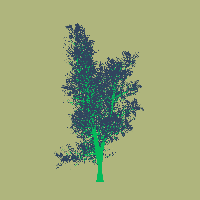 greenshift tree