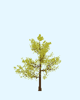 greenshift tree