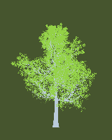 greenshift tree