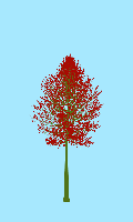 greenshift tree