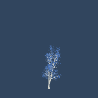 greenshift tree