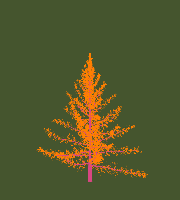 greenshift tree