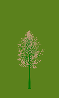 greenshift tree