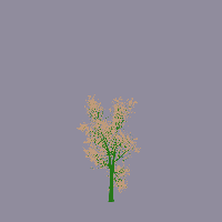 greenshift tree