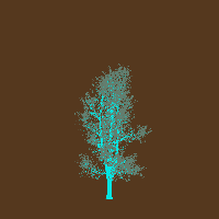 greenshift tree