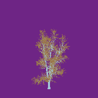 greenshift tree