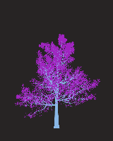 greenshift tree