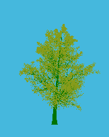 greenshift tree