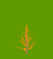 greenshift tree