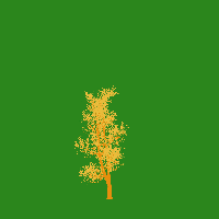 greenshift tree