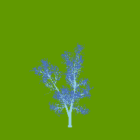 greenshift tree