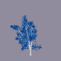 greenshift tree