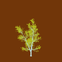 greenshift tree