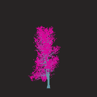 greenshift tree