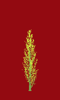 greenshift tree