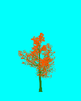 greenshift tree