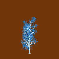 greenshift tree