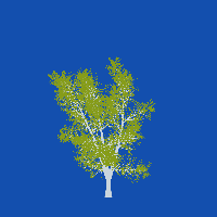 greenshift tree