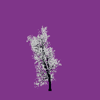 greenshift tree