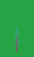 greenshift tree