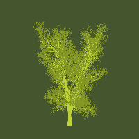 greenshift tree